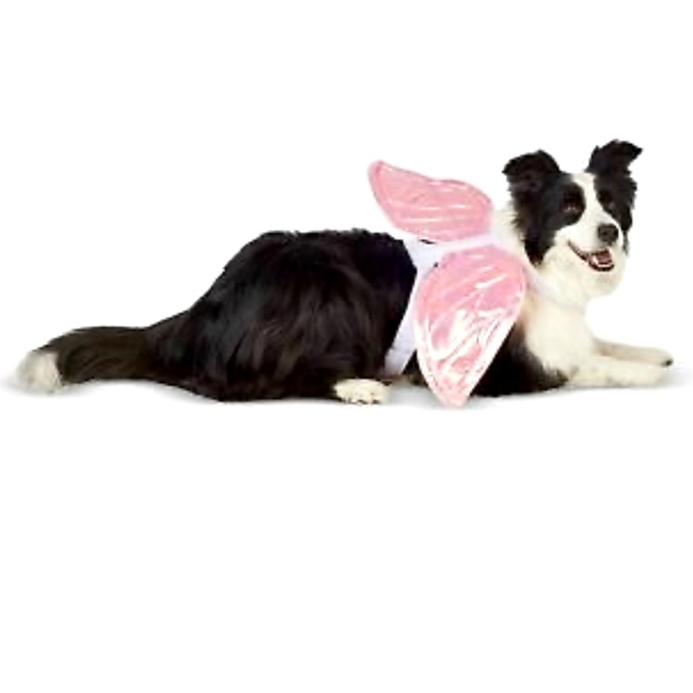 Angel Wings Pegasus Dog Costume
